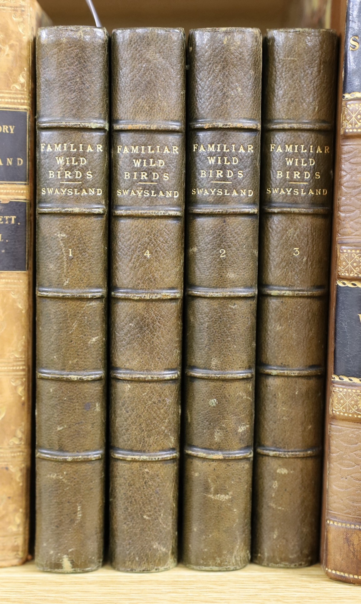 Swaysland, Walter - Familiar Wild Birds, series 1-4 in 4 vols, 8vo, half calf, with 160 tissue guarded coloured plates, Cassell & Company, Ltd., London, 1883 - [88?]